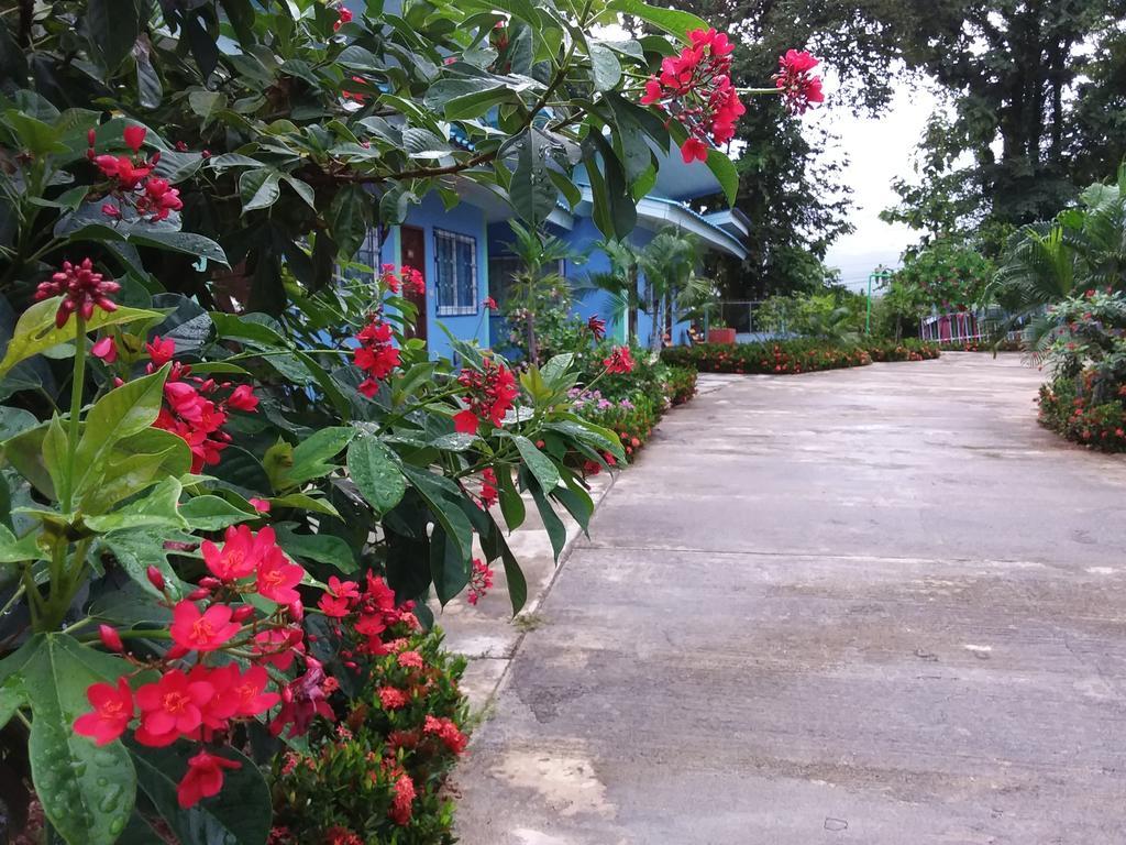 Paramee Inn Pai Luaran gambar